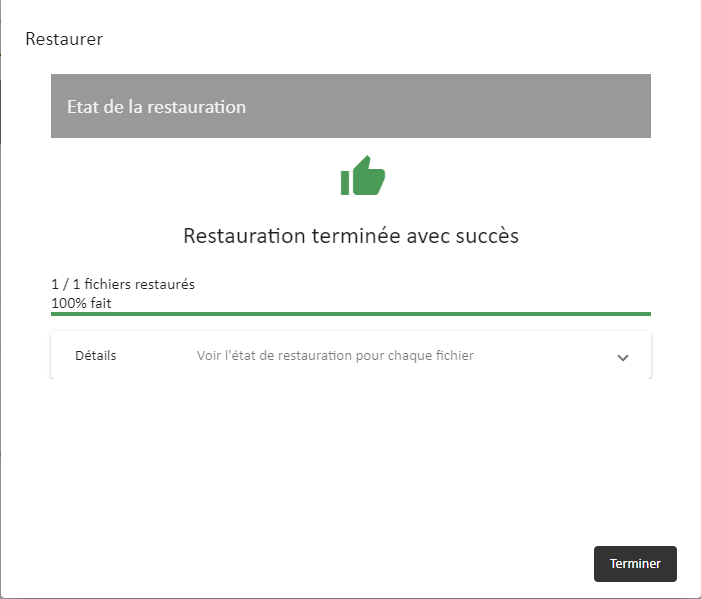 Lina - Restauration fichier 3