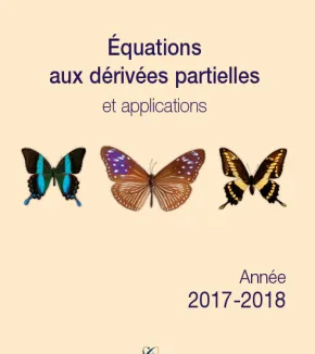 Équations aux dérivées partielles et applications 2017-2018
