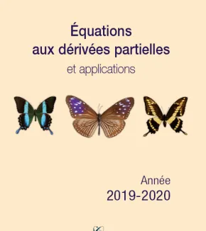 Équations aux dérivées partielles et applications 2019-2020