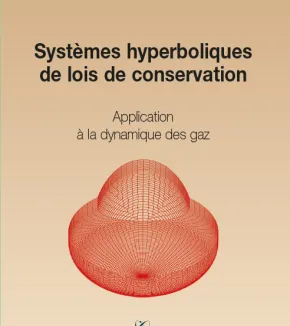 Systèmes hyperboliques de lois de conservation