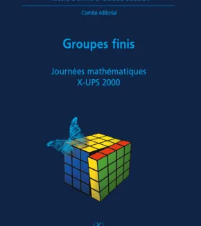 Groupes Finis (X-UPS 2000)