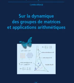 Sur la dynamique des groupes de matrices et applications arithmétiques (X-UPS 2007)