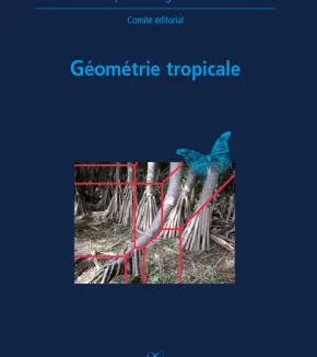 Géomètrie tropicale (X-UPS 2008)