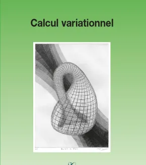 Calcul variationnel