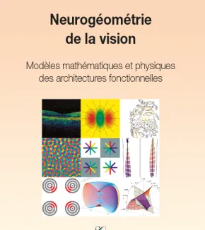 Neurogéomètrie de la vision