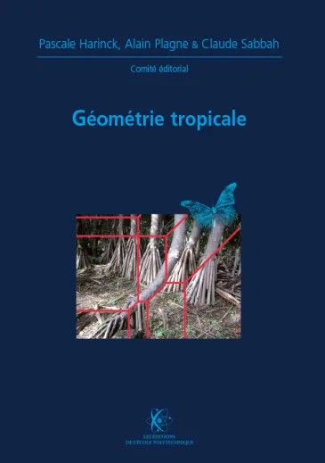 Géomètrie tropicale (X-UPS 2008)