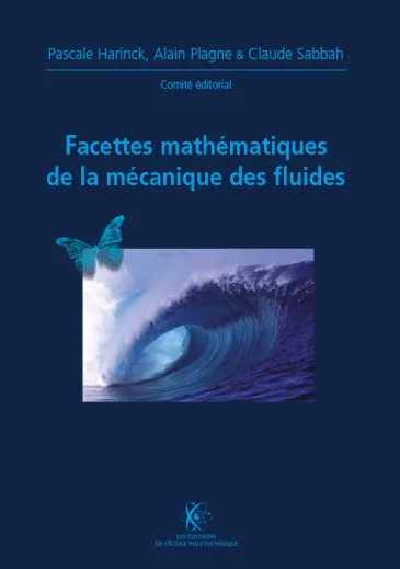 Facettes mathématiques de la mécanique des fluides (X-UPS 2010)