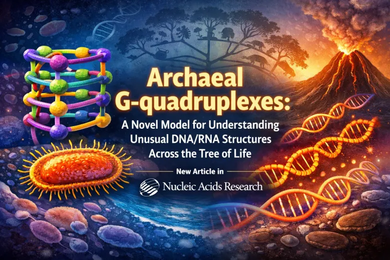 New publication in Nucleic Acids Research ”Archaeal G-quadruplexes: a novel model for understanding unusual DNA/RNA structures across the tree of life"