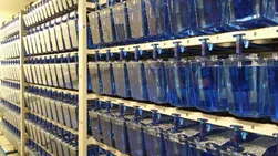 Fish facility