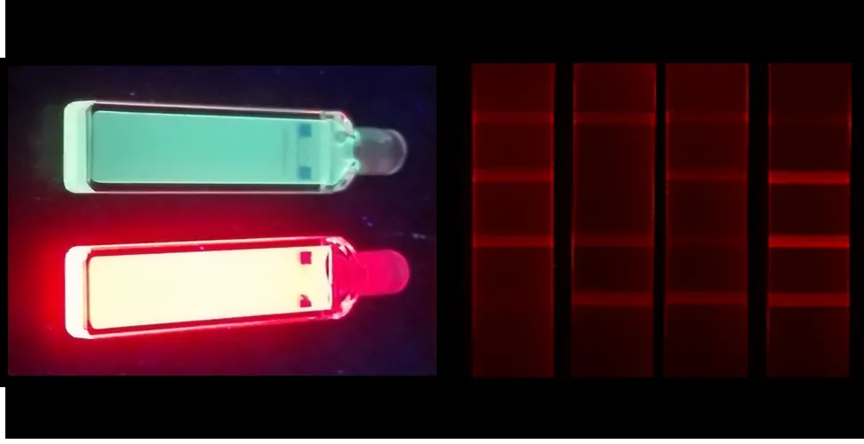 Biomolecule in vitro detection
