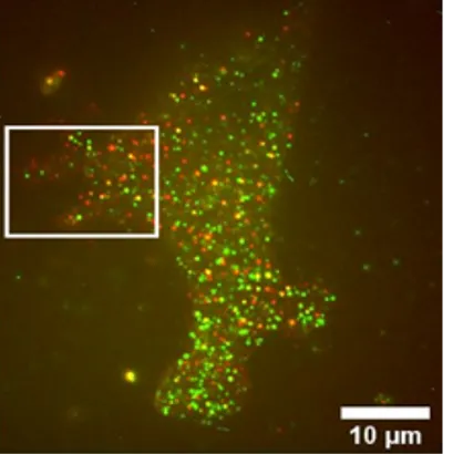 Nanoscopy
