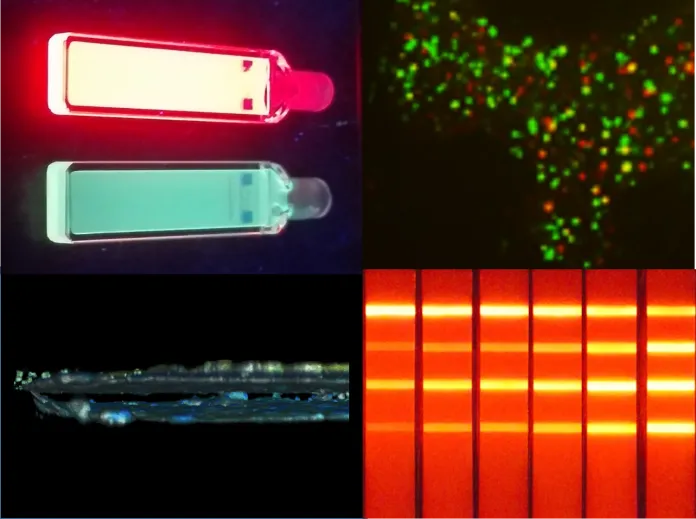 Nanoimaging: cell dynamics and quantitative biology