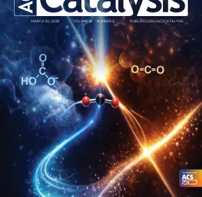 Le photocycle d'une photoenzyme revisité