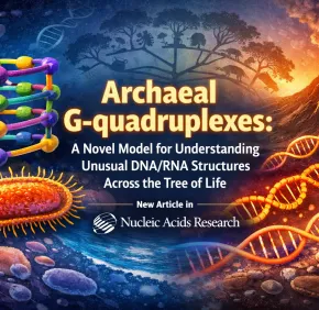 New publication in Nucleic Acids Research ”Archaeal G-quadruplexes: a novel model for understanding unusual DNA/RNA structures across the tree of life"