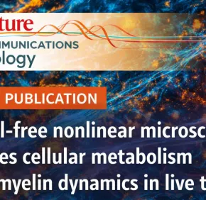 New publication in Nature Communication Biology, “Label-free nonlinear microscopy probes cellular metabolism and myelin dynamics in live tissue”